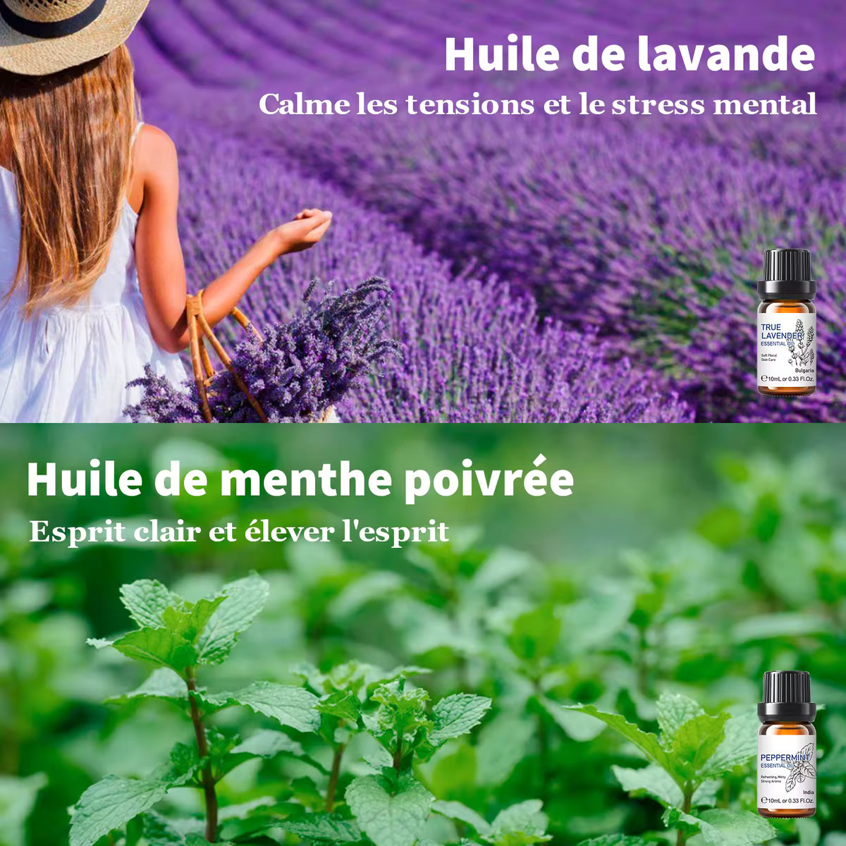 Pack Huiles Essentielles OFFERT (6 senteurs)