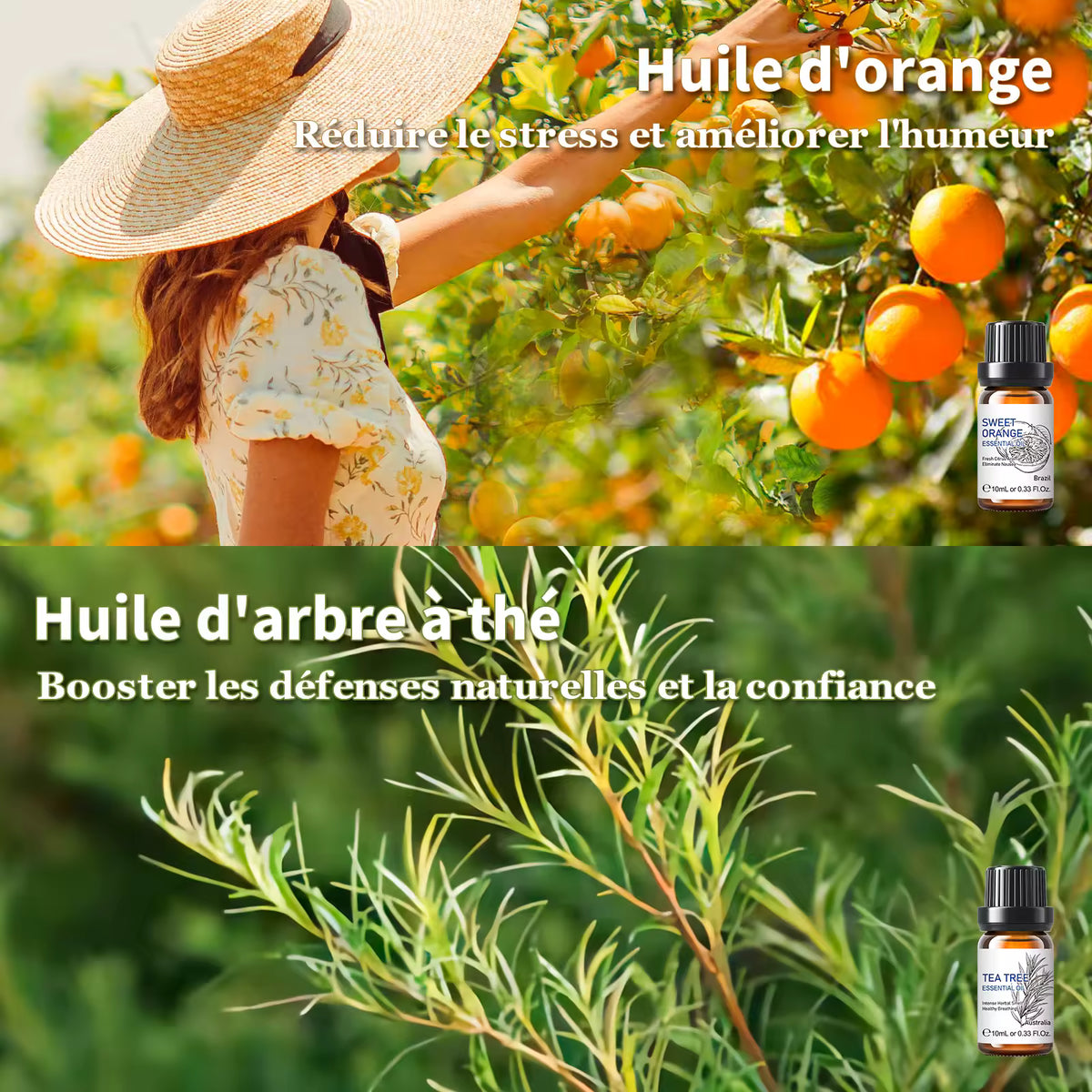 Pack Huiles Essentielles OFFERT (6 senteurs)